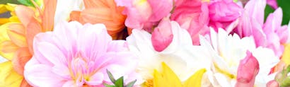 Arlington Dallas Hurst Same Day Flower Delivery Bice S Florist