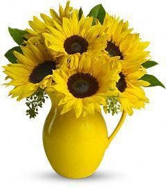 Pitcher of Sunflowers Fort Worth TX Flower & Gift Delivery