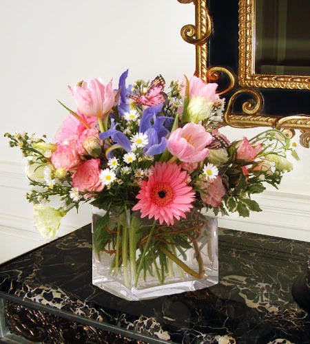 block of sunshineFort Worth Flower ShopBice’s FloristFort Worth