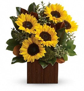 You're Golden Sunflower Bouquet Ft. Worth TX Flower Delivery