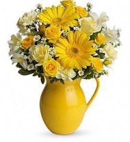 Pitcher of Cheer