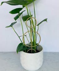Decorative Plant Stake