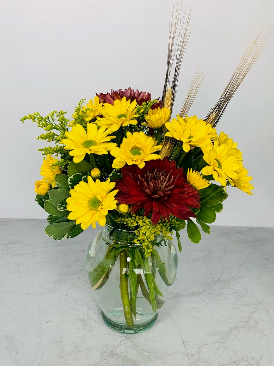 Fall Daisies DFW (TX) SameDay Flower Delivery Bice's Florist