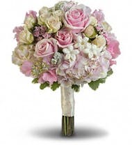 Pink Rose Splendor