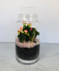 Covered Jar Terrarium