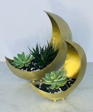 Over The Moon Planters