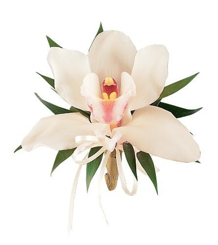 Cymbidium Orchid Corsage | DFW (TX) Dance Flowers | Bice's Florist