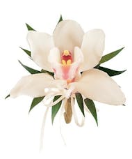 Cymbidium Orchid Corsage