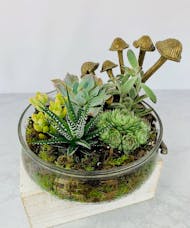 Mushroom Glass Succulent Planter