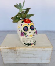 Sugar Skull Succulent Planter