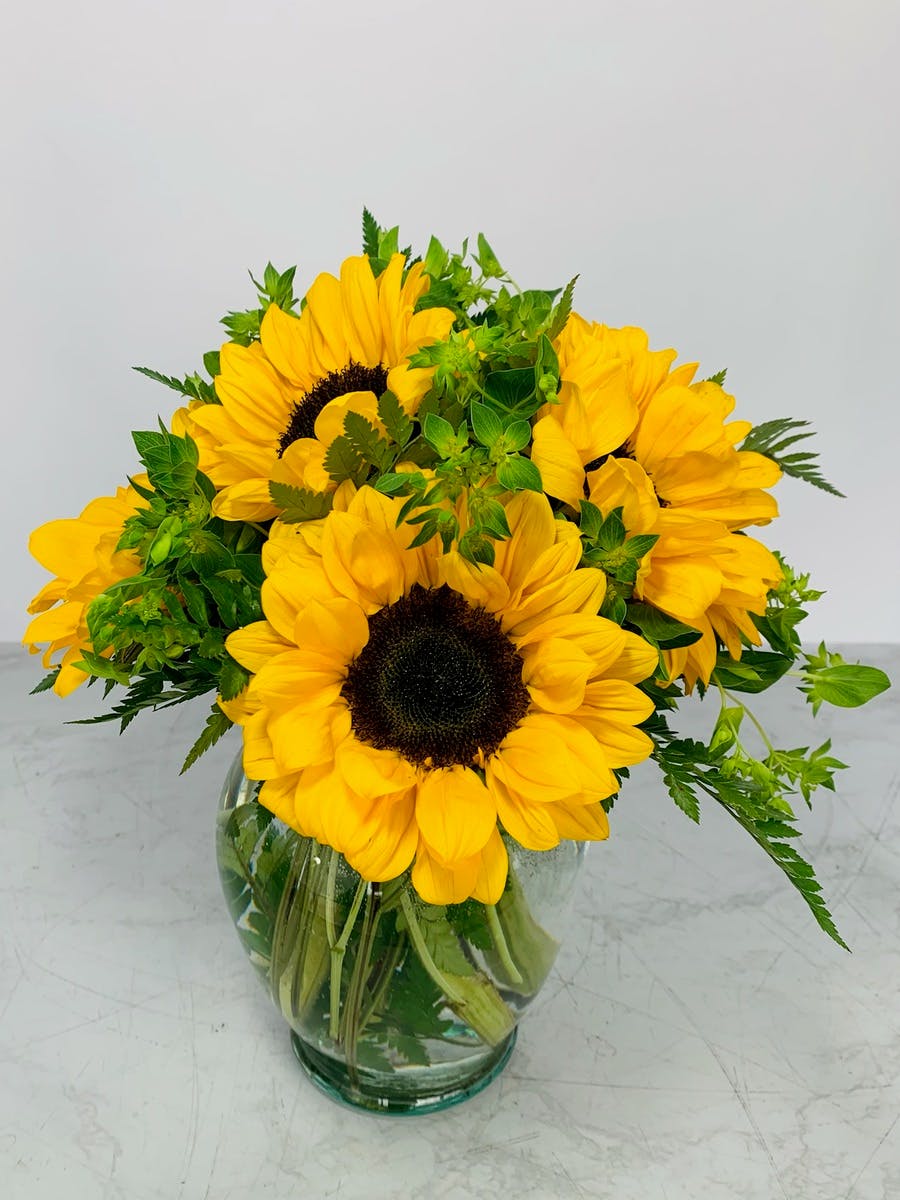 Sunny Sunflowers | Fort Worth Same Day Flower Delivery