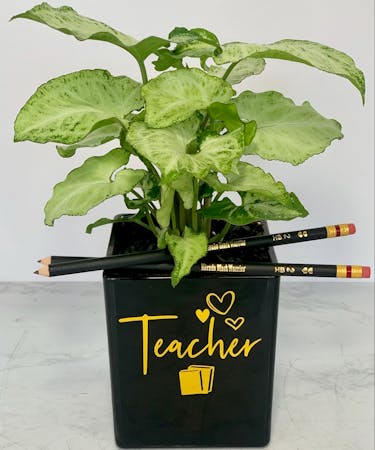 Teacher Planter