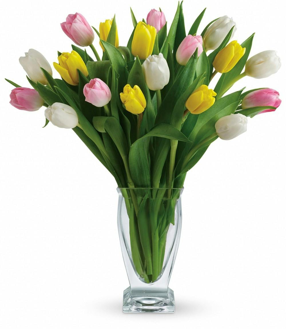 Spring Tulips Delivered to Fort Worth, TX Bice’s Florist