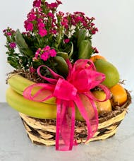 Fruits and Blooms